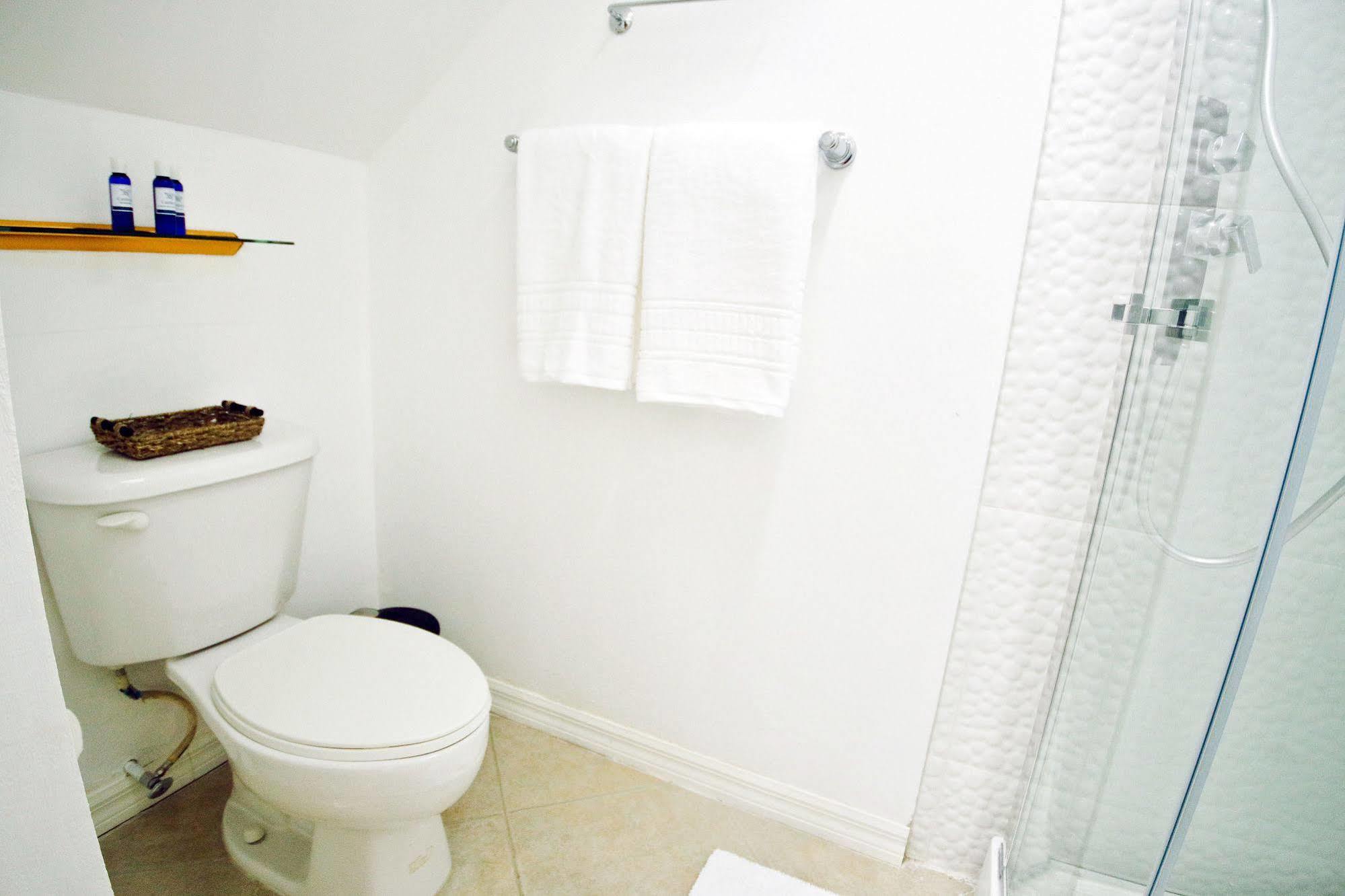 Cattleya Luxury Suites Kingston Luaran gambar