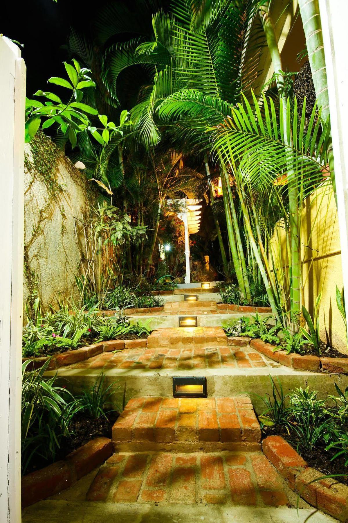 Cattleya Luxury Suites Kingston Luaran gambar
