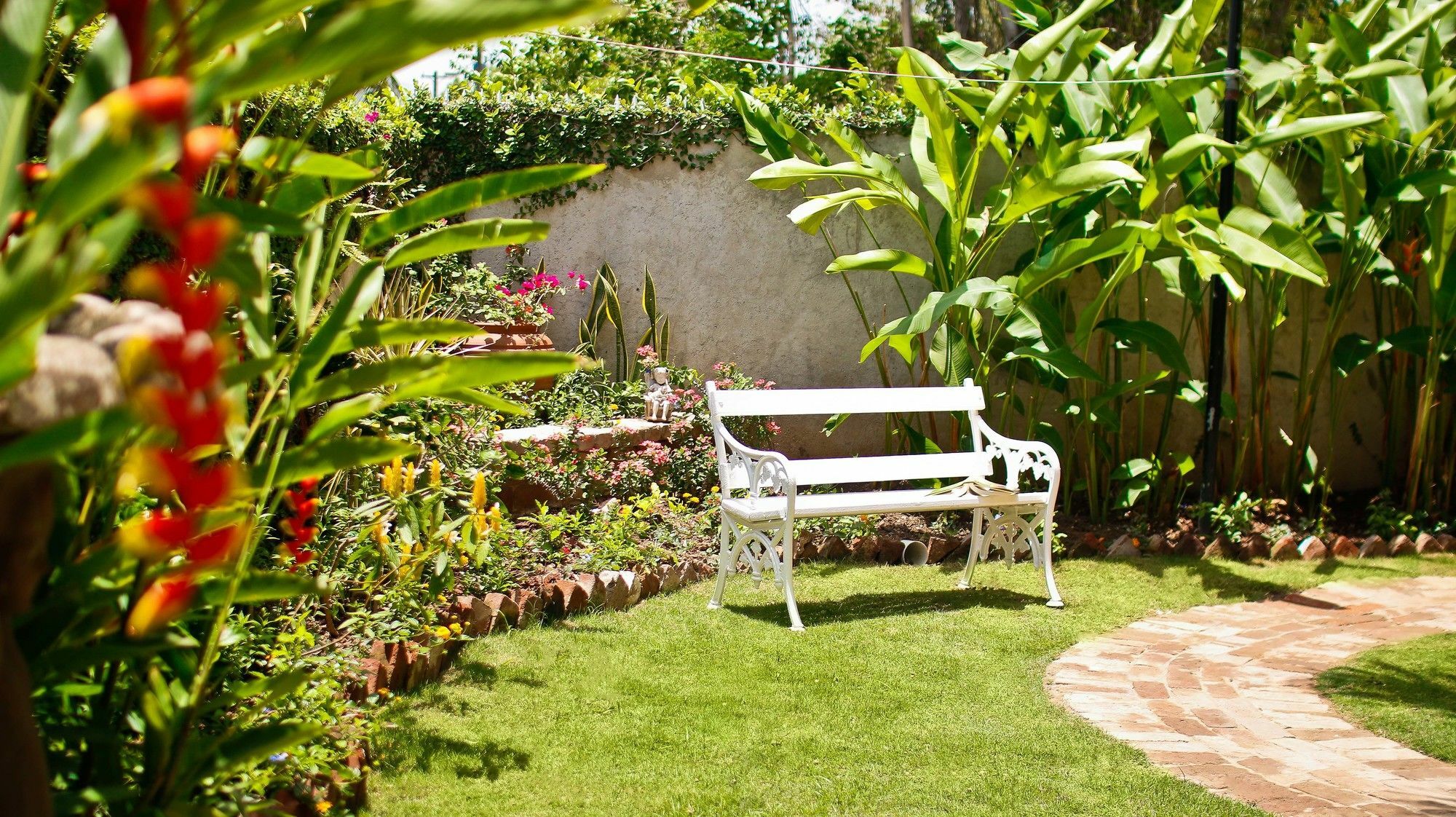 Cattleya Luxury Suites Kingston Luaran gambar